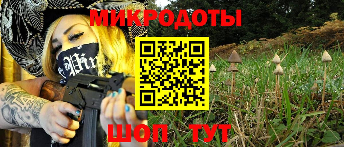закладка  Вход с VPN  Свободный  Галлюциногенные грибы мухоморы 
